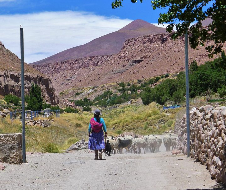 tours san pedro de atacama, Tours a San Pedro de Atacama, Trekana