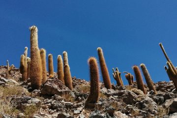 San Pedro de Atacama, Inicio Trekana Experience, Trekana